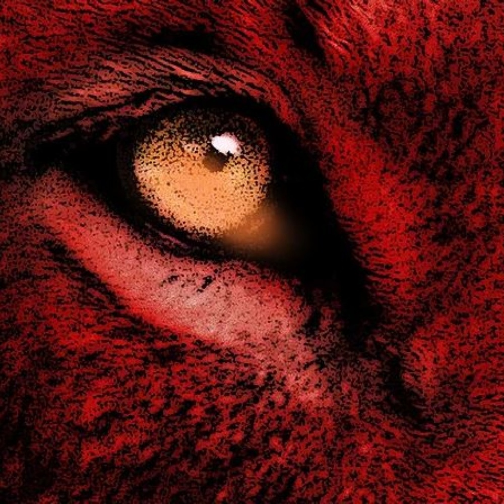 Meet your Posher, Mikhail